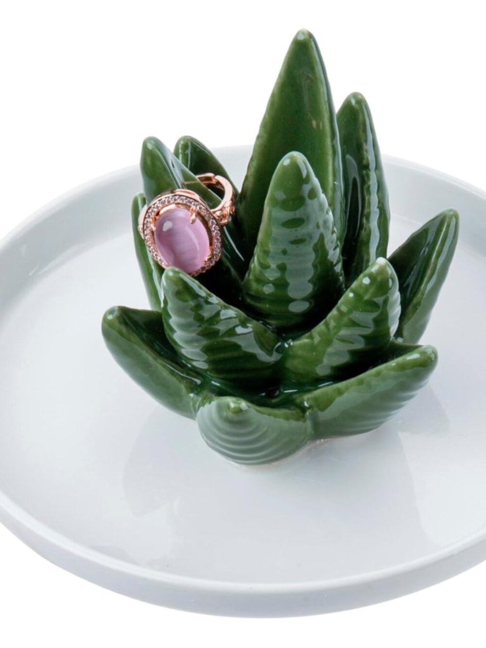 6/36$ or 10/50$

Green Ceramic Succulent Jewelry holder